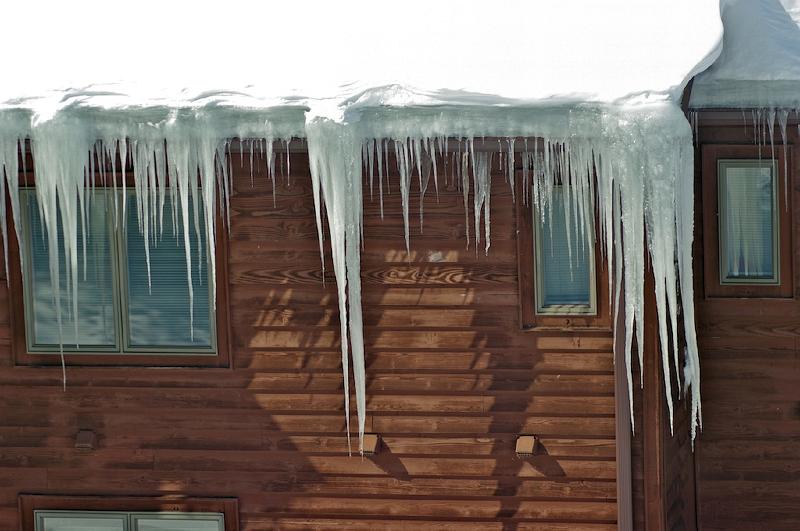Icicles (4).jpg